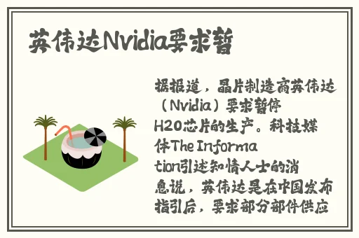 中国x战安装包2024